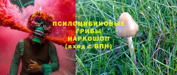 Альфа ПВП Богородск
