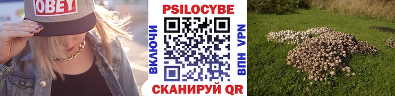 Псилоцибиновые грибы Magic Shrooms где найти Меленки
